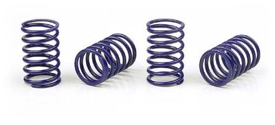 Xray Xray Spring-Set D=1.7 (25 Lb) C=3.6 Black (4) (XR308386)