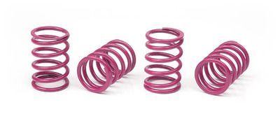 Xray Xray Spring-Set D=1.8 (33 Lb) Purple - Medium-Hard (4) --- Replaced With #348283 (XR308397)