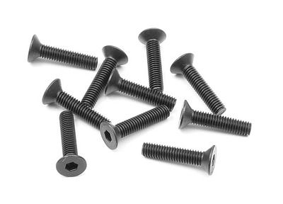 Xray Hex Screw Sfh M3X14  (10) (XR903314)