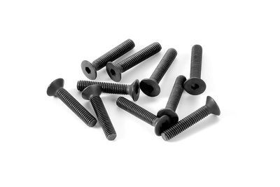 Xray Hex Screw Sfh M3X16  (10) (XR903316)