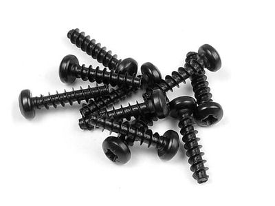 Xray Screw Phillips 3.0X14  (10) (XR905314)