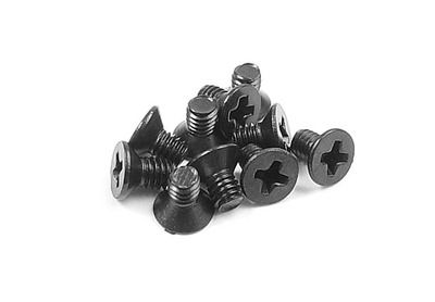 Xray Screw Phillips M 2.5X4  (10) (XR910254)