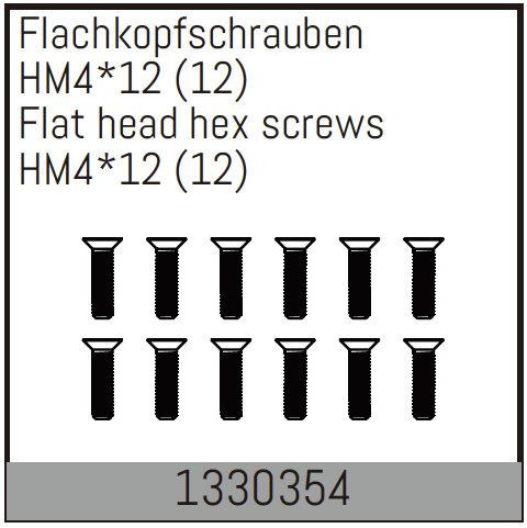 Absima Flat Head Hex Fine Pitch Screws Hm4*12/12 Pcs ( AB 1330354)