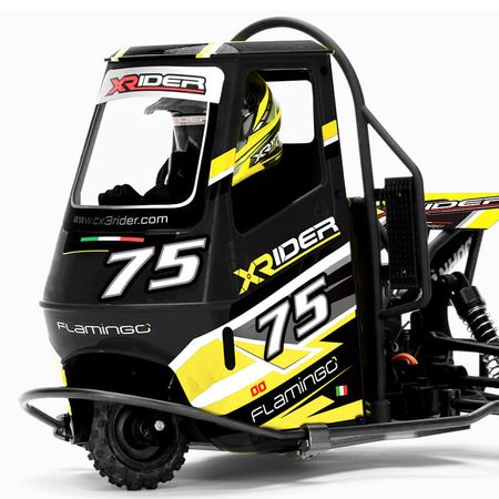 X-Rider Flamingo 1:8 RC Tricycle - RTR Black (XR-83001-04)