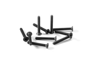 Xray Hex Screw Sfh M3X22  (10) (XR903322)