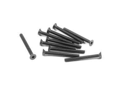 Xray Hex Screw Sfh M3X30  (10) (XR903330)