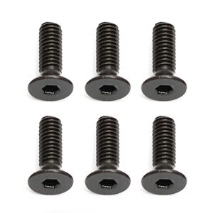 Team Associated Qualifier Apex 2.5 X 8mm FHCS (10) (AS31448)