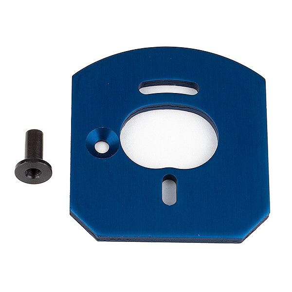 Team Associated Apex 2 Motor Mount (AS31879)