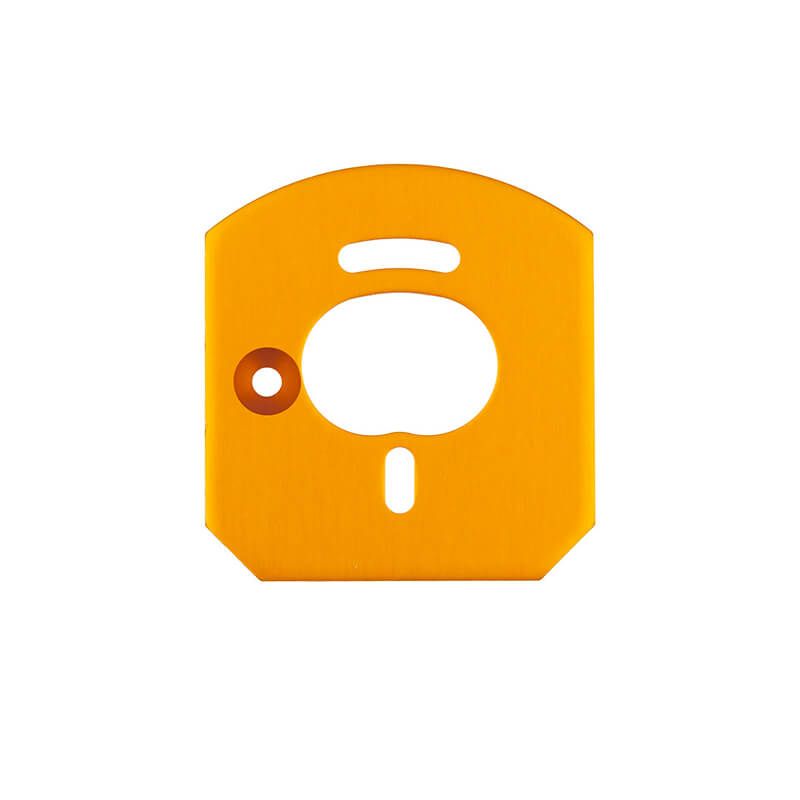 Team Associated 6X6 Motor Mount Plate, Gold (AS31953)