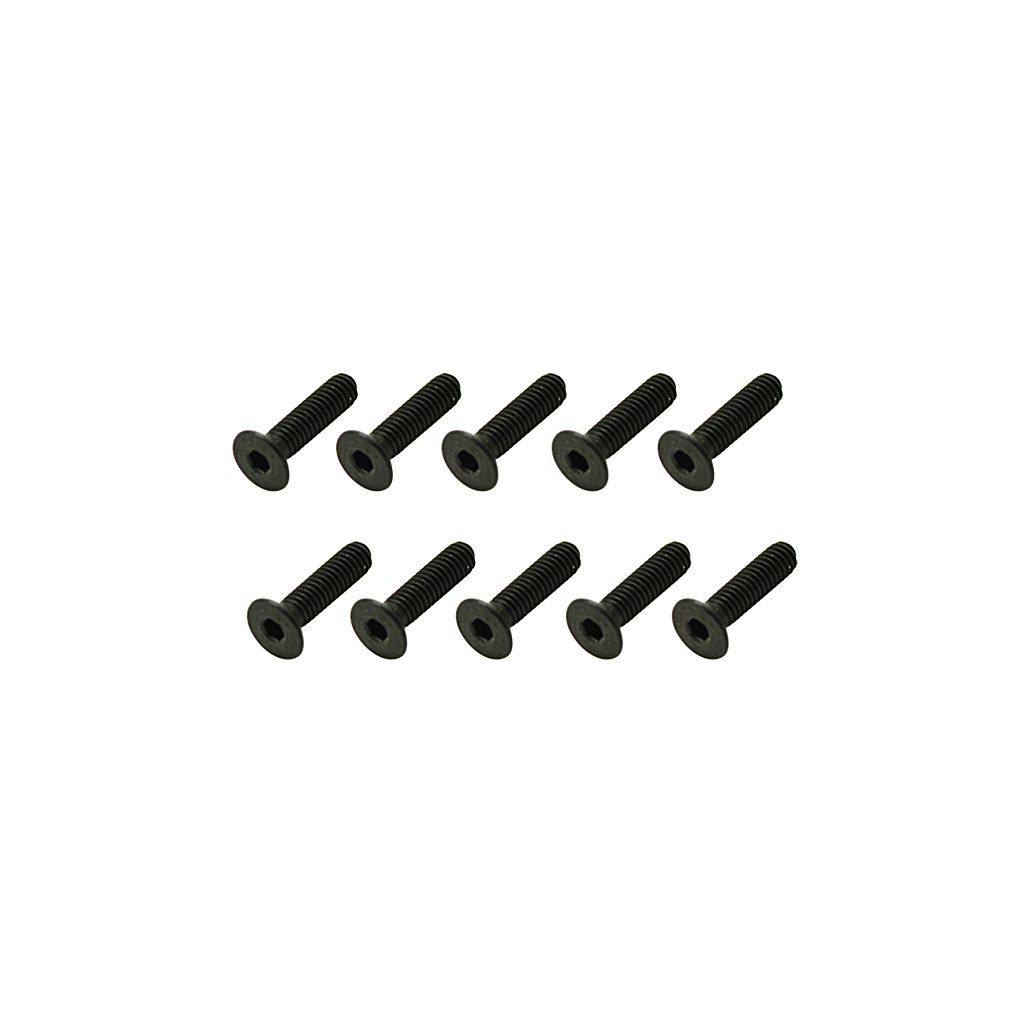 Core RC Steel Csk Hex Screws M2.5 x 10 pk10 (CR342)