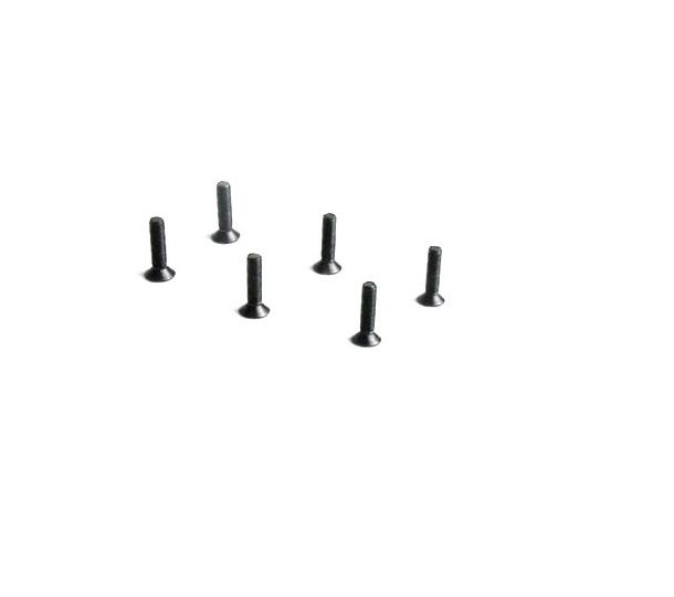 FTX Flat Head Hex 6pcsm3*12 (FTX6537)