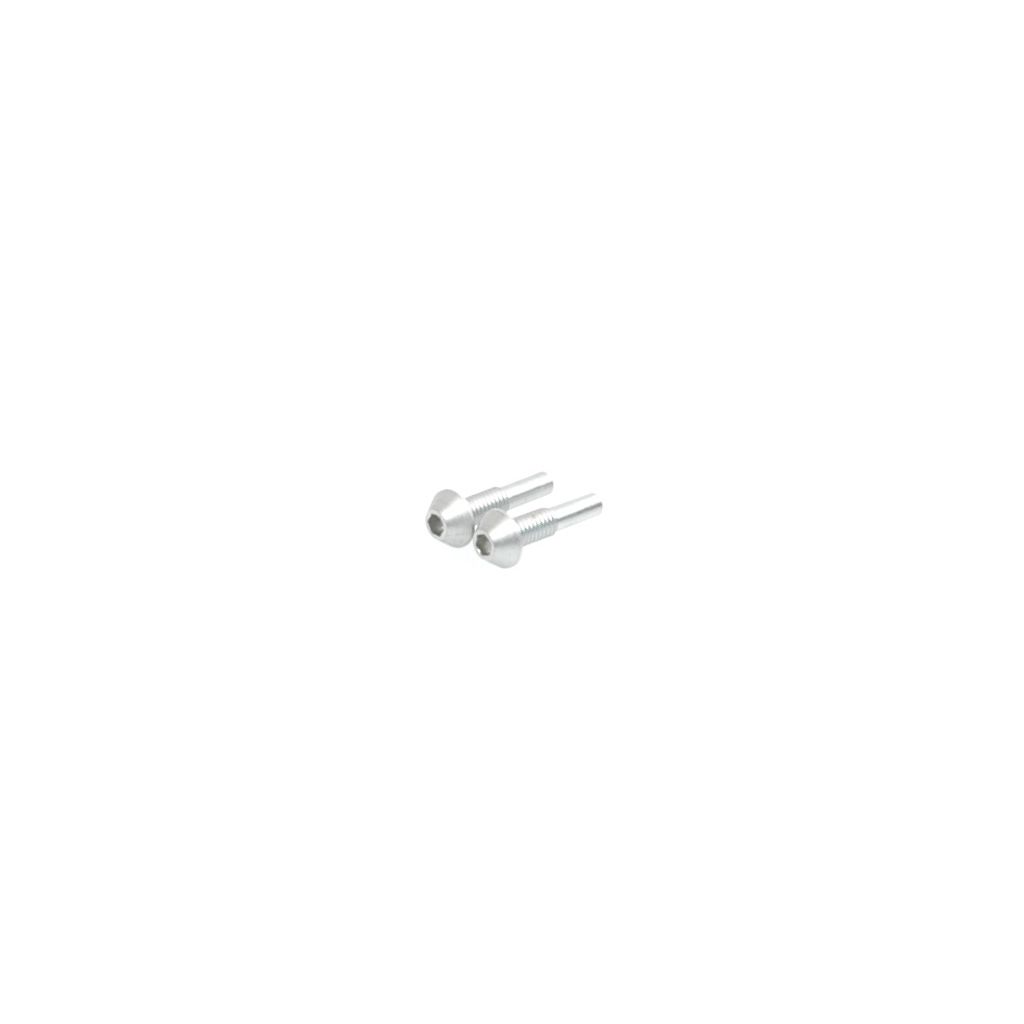 Schumacher Pivot Pin; Screw Type 12mm  pr (U3305)