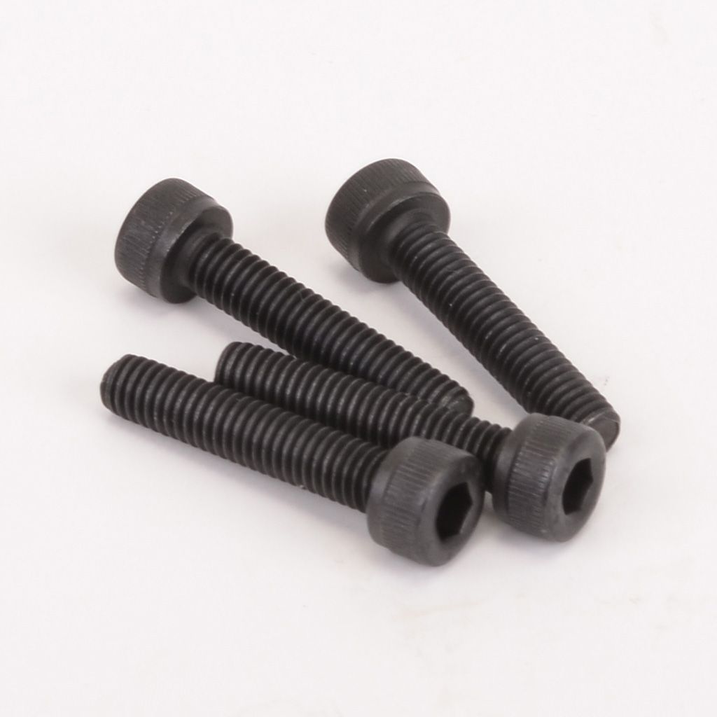 Schumacher SPEED PACK - M4x20 Cap Hd (4 pcs) (U4154)